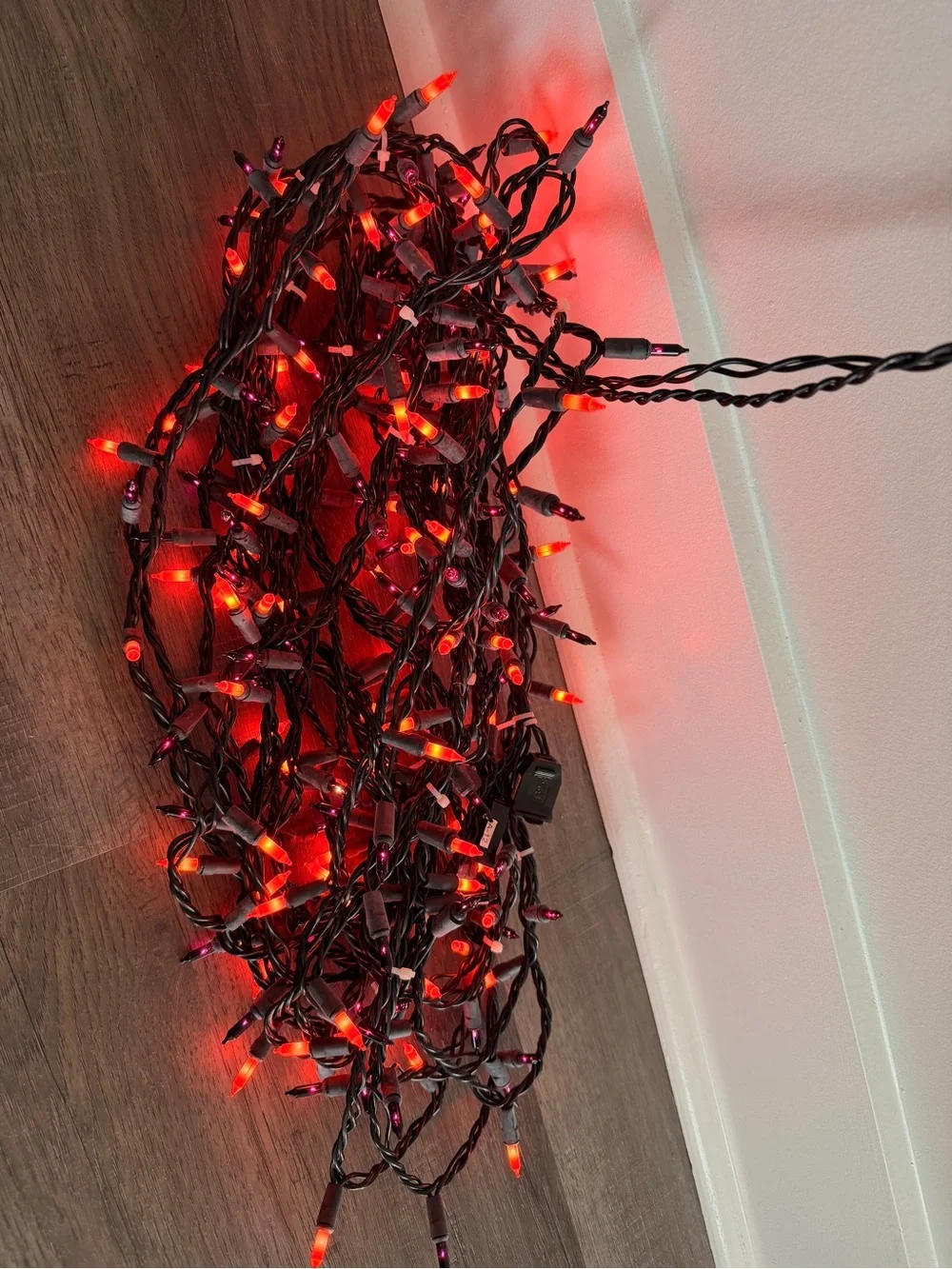 Orange (2) & Purple (2) Holiday String Lights -  25’ each